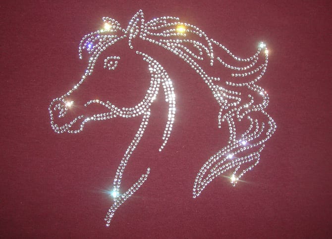 Horse Rhinestone T-shirt Horse Lovers Gift T-shirt